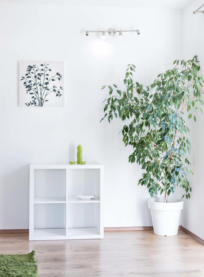 וודיצה Apartments Tonka Centar מראה חיצוני תמונה